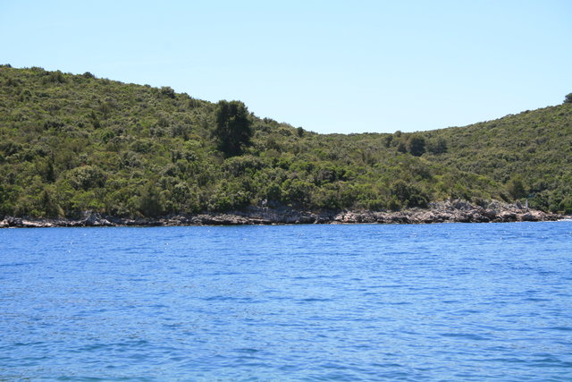 gal/cro 08/small-IMG_5234.JPG
